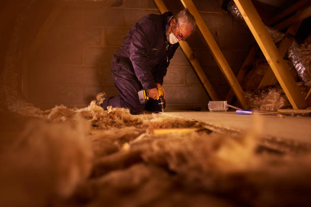 Best Insulation Materials and Products in White Sulphur Springs, WV